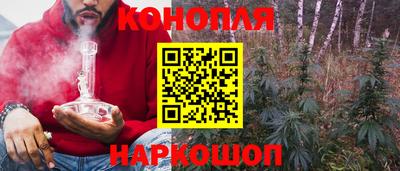 индика Кунгур
