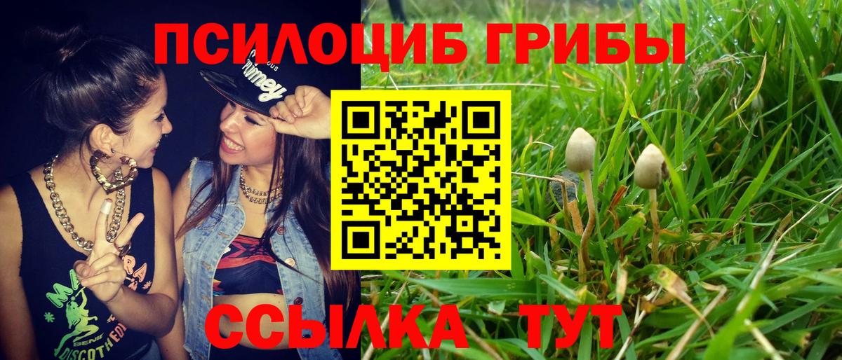 Славянск-на-Кубани  Галлюциногенные грибы ЛСД  Вход с VPN  Галлюциногенные грибы Magic Shrooms 
